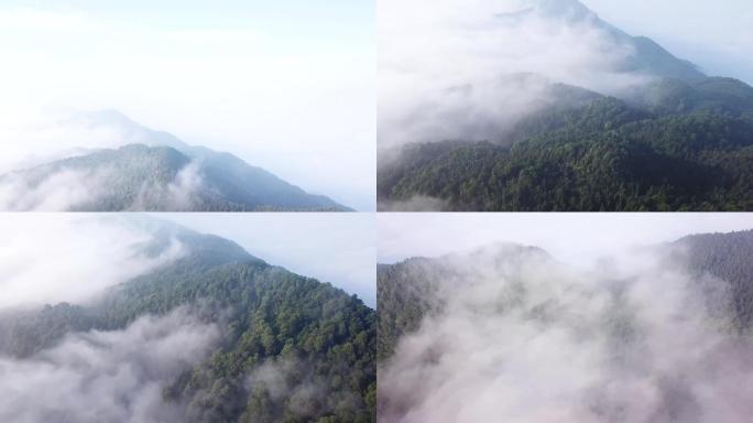 4k-航拍重庆虎峰山云雾