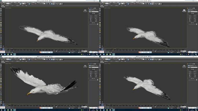 海鸥带绑定动画3dsmax