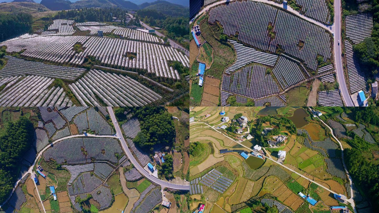 航拍丹寨县农业产业示范园