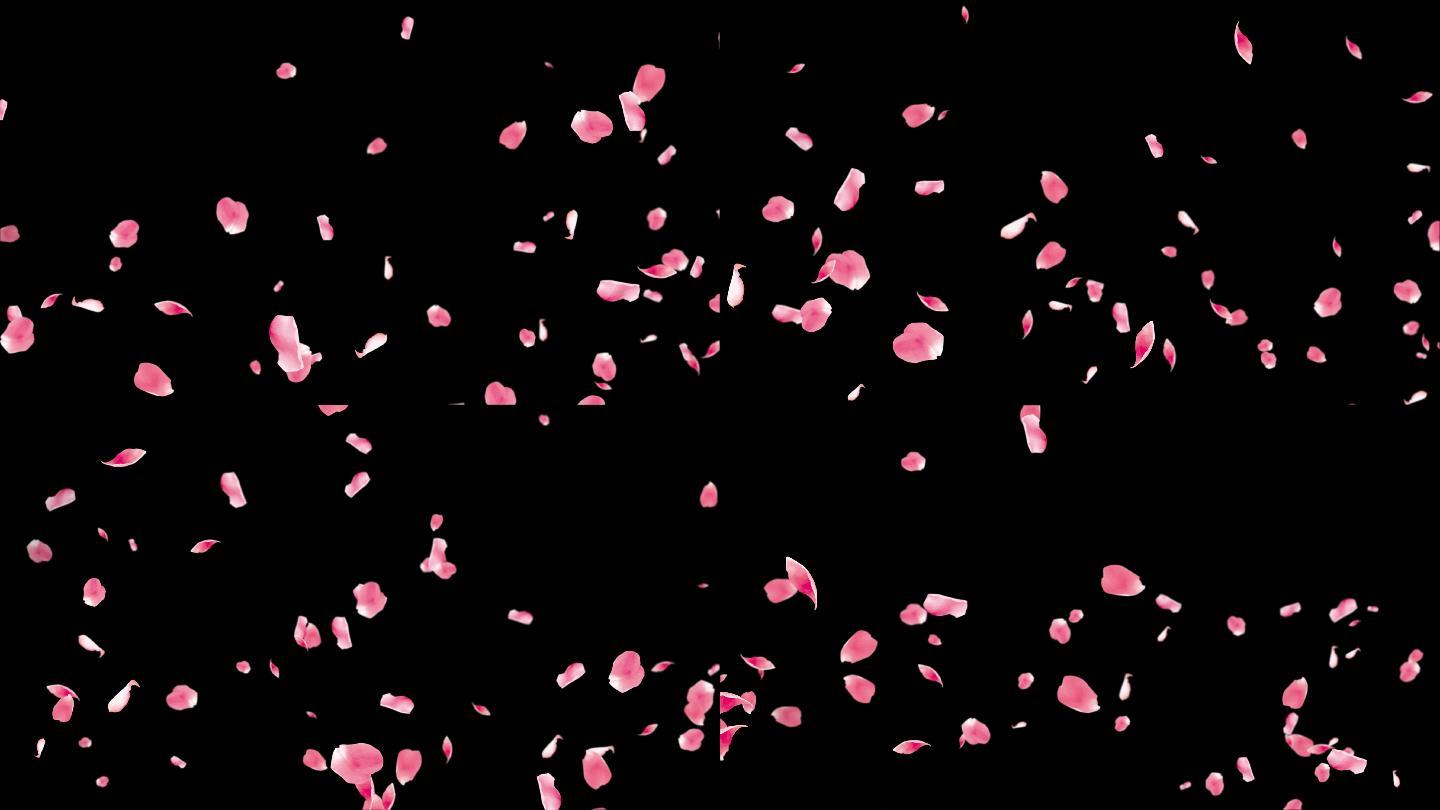 4k花瓣飘落循环通道