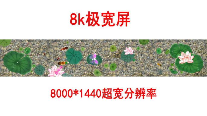 地面投影荷花鲤鱼8k（05）-无缝循环