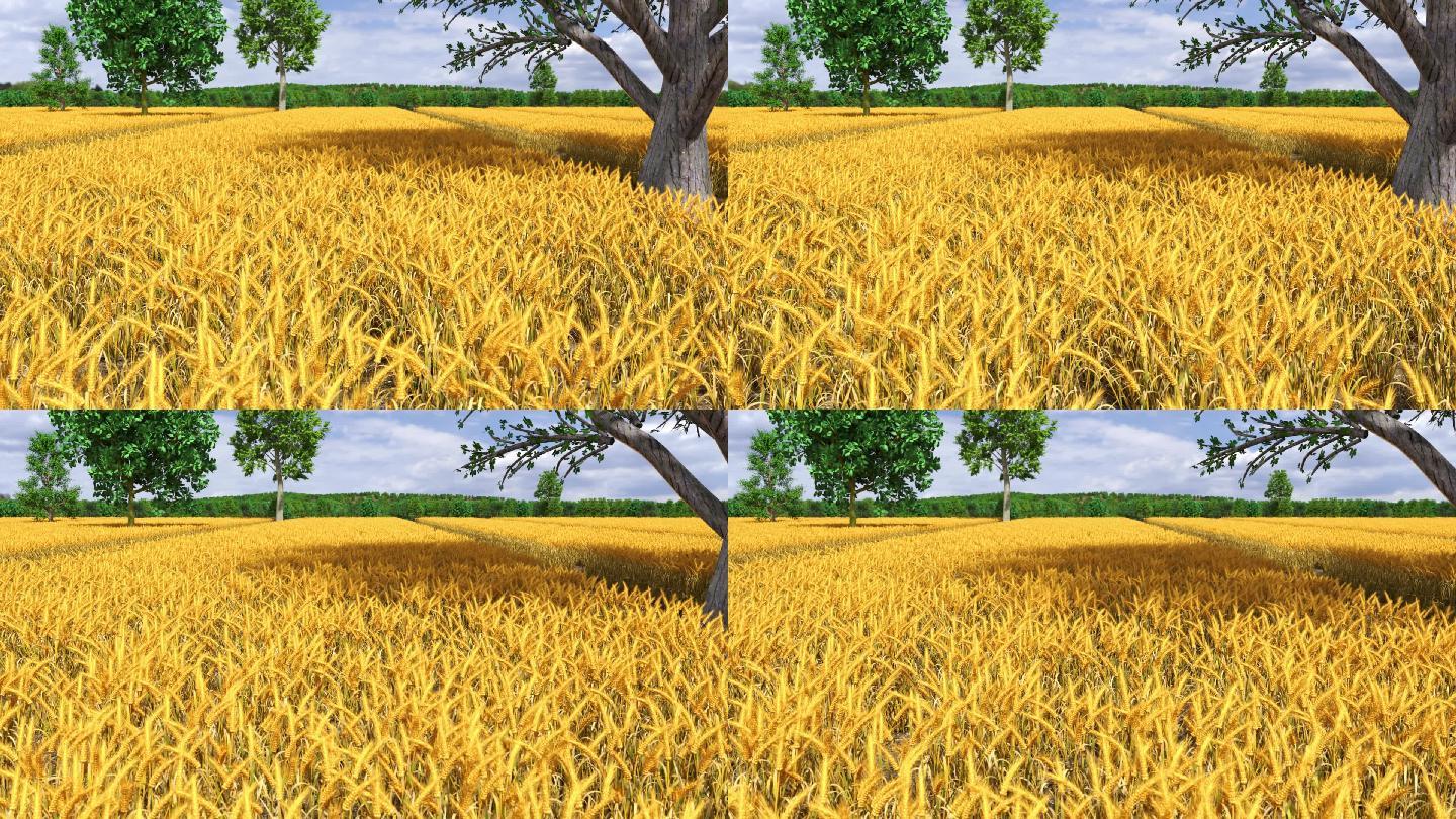 小麦农场场景渲染