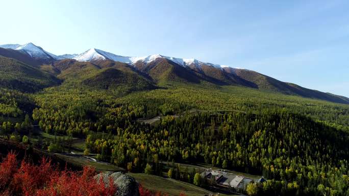 新疆白哈巴雪山松林敖包别墅