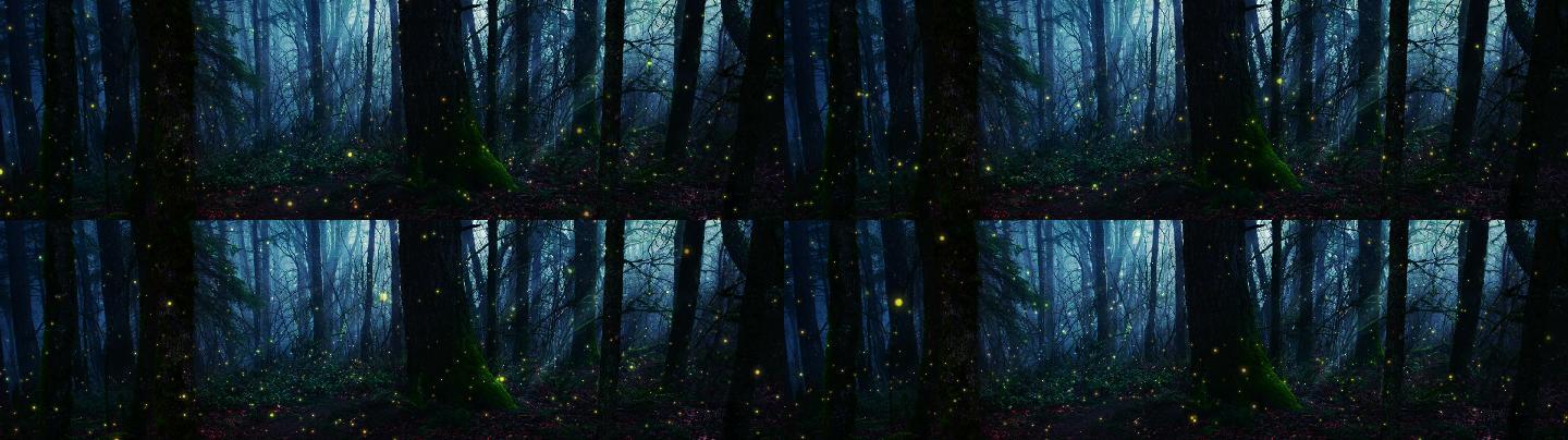树林间萤火虫
