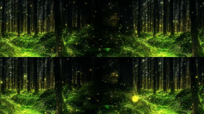 奇幻森林中魔法粒子缓缓升起