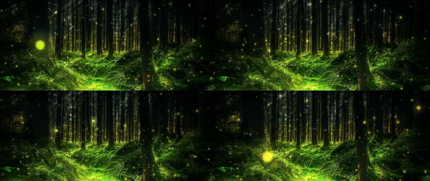 奇幻森林中魔法粒子缓缓升起