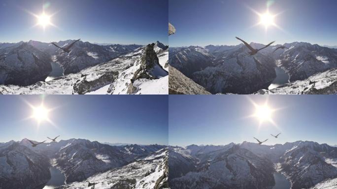 雄鹰掠过山峰飞向太阳