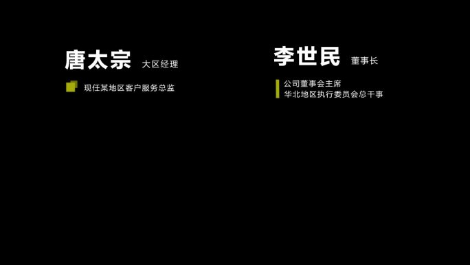 原创大气简洁人名介绍字幕条