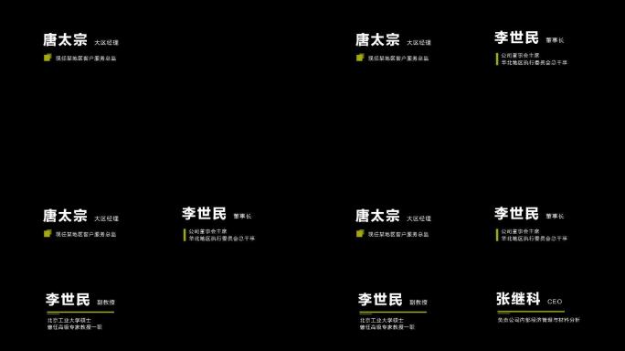 原创大气简洁人名介绍字幕条