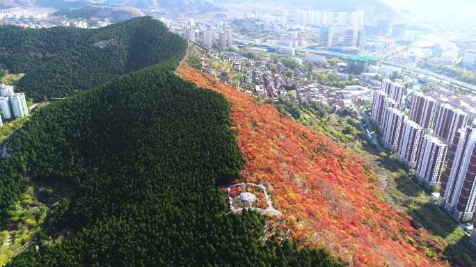 秋天蝎子山红叶谷