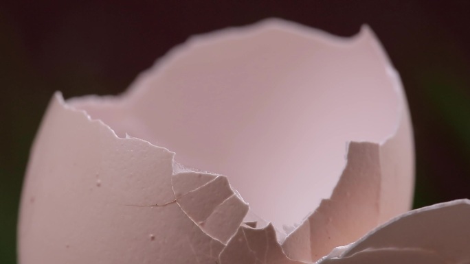 鸡蛋蛋壳偏方小鸡蛋白质钙质补