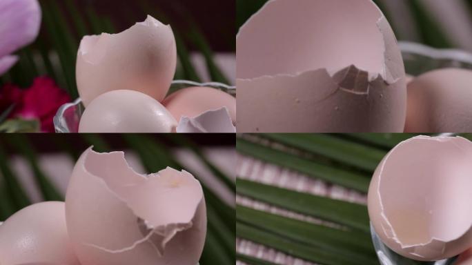 鸡蛋蛋壳偏方小鸡蛋白质钙质补