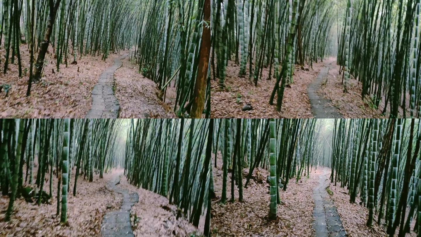 竹林6（1080P）