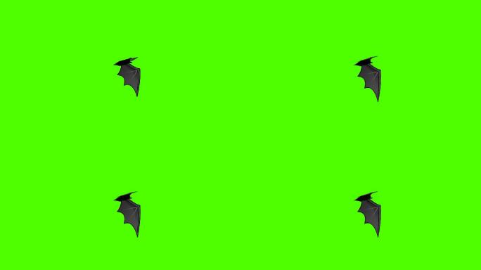 蝙蝠动态循环带通道