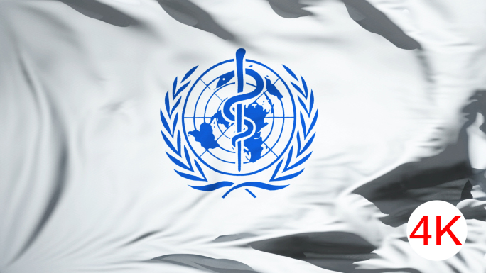 【原创】4K世界卫生组织旗帜（循环）