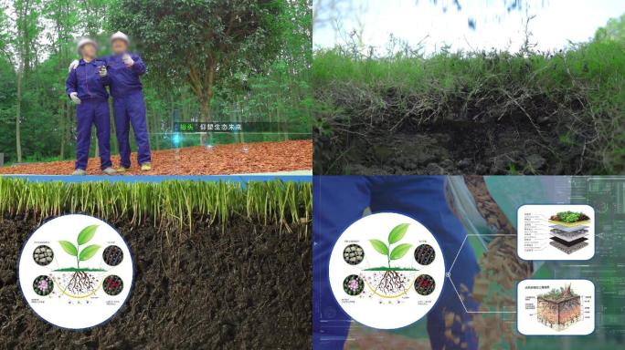 AE土壤改善土质分析