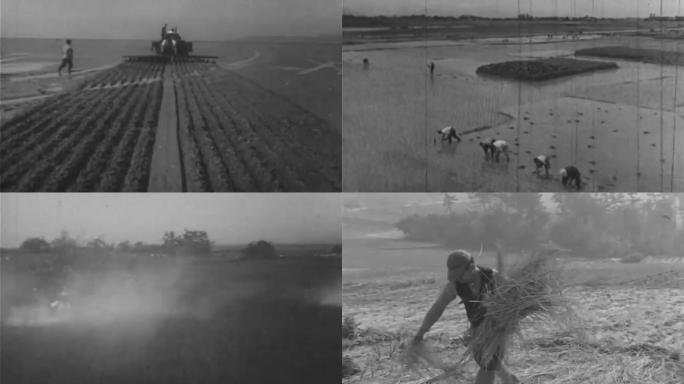 30年代农业