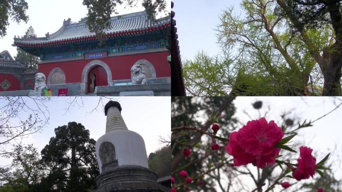 北京古建筑古刹寺庙大觉寺白塔舍利塔