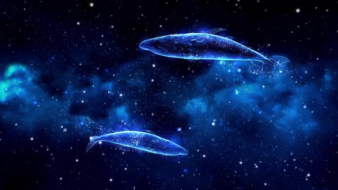 大鱼星空背景循环