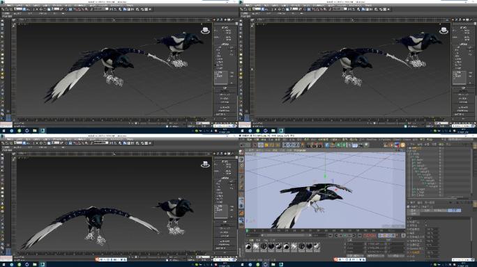喜鹊鸟类翅膀3dsmax+c4d