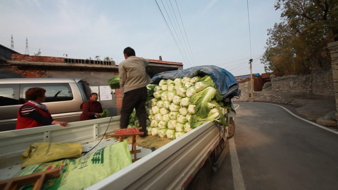 济南黄歇村卖越冬白菜的商贩