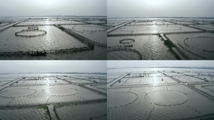 阳澄湖大闸蟹蟹塘航拍素材