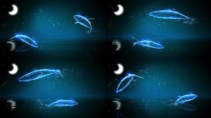 月亮大鱼水面循环