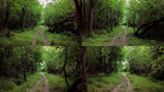 4K丛林穿梭乡间小路冒险探险