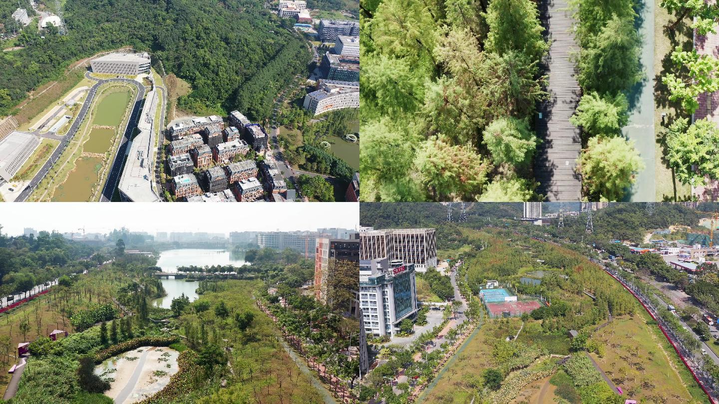 天河智慧城-大观湿地公园