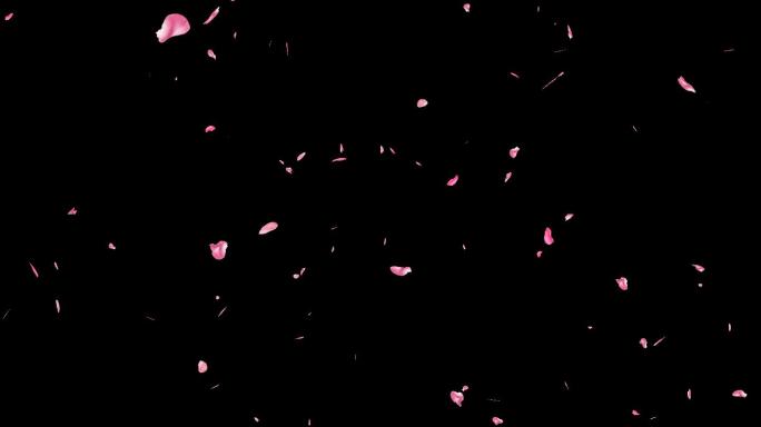 桃花花瓣飘落带通道4K