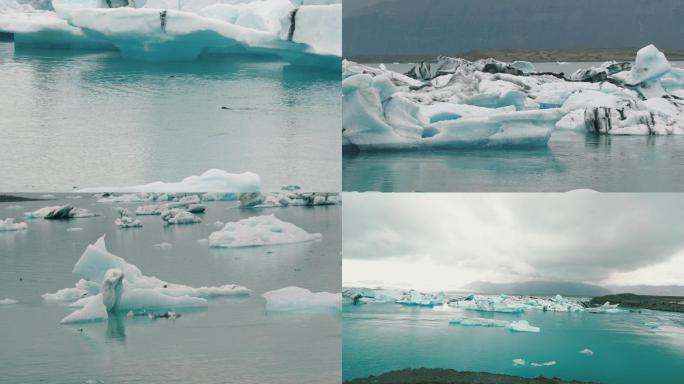 北欧冰岛冰川冰河海狮海豹海鸥BBC行星