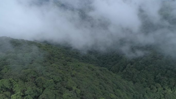 雷公山国家森林公园