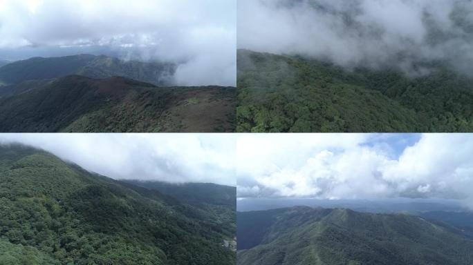 雷公山国家森林公园