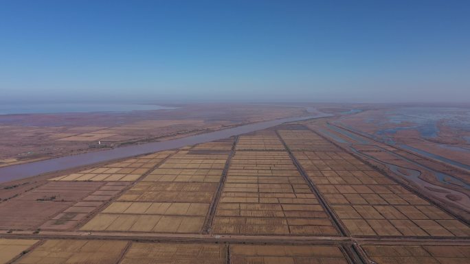 4K-原素材-黄河口湿地耕地