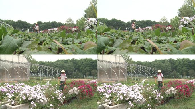 园丁浇花