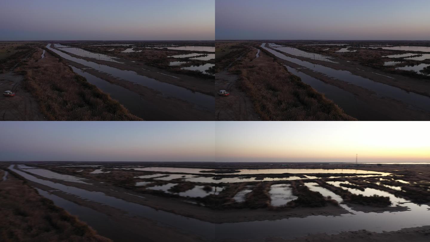 4K-原素材-黄河口湿地