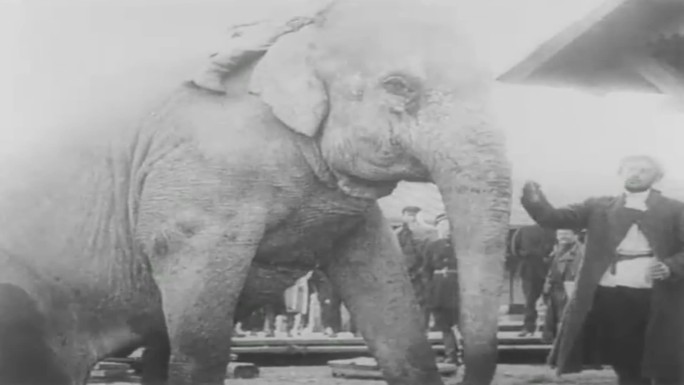 30年代大象游行