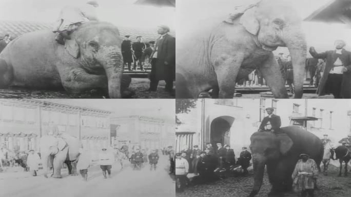 30年代大象游行