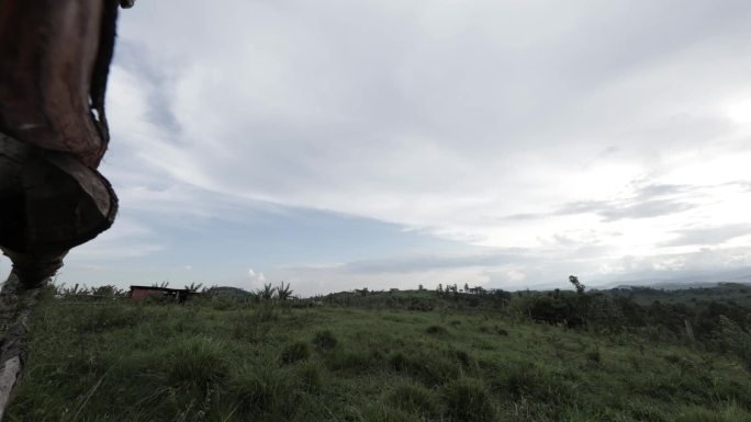 乌干达自然风光延时