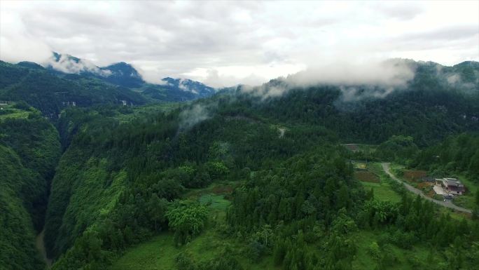 烟雨蒙蒙的山谷森林河流