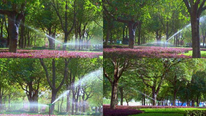 园林自动洒水、喷头浇花