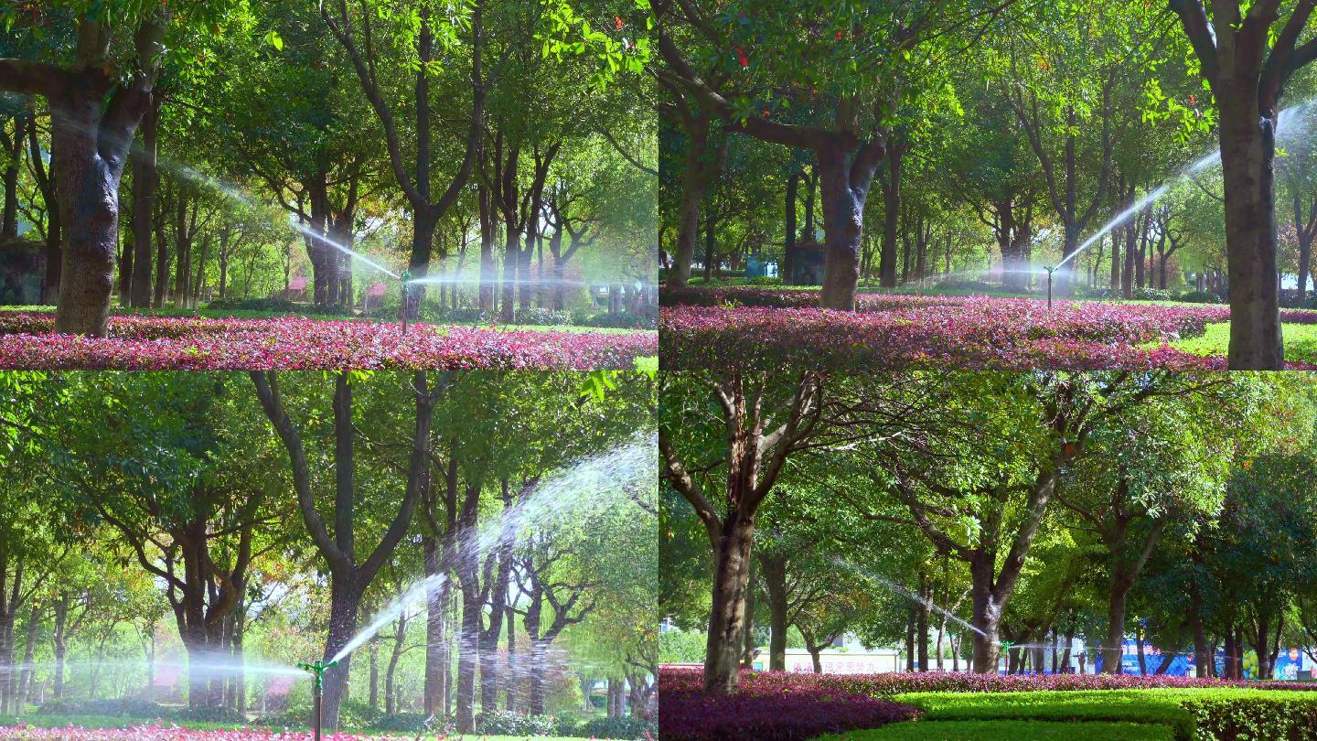 园林自动洒水、喷头浇花