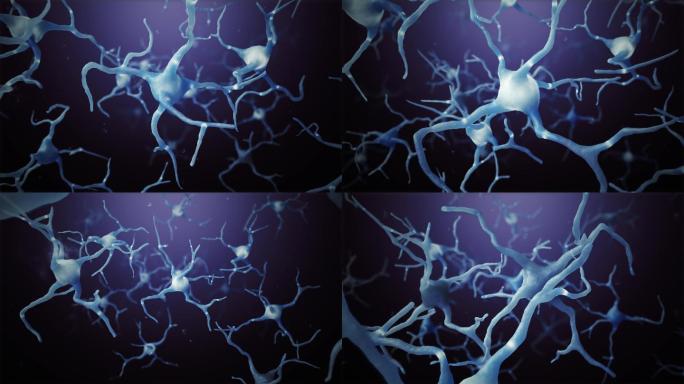 4K神经元微观世界脉络血管