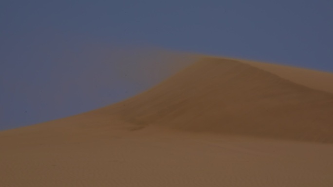 沙漠悲歌