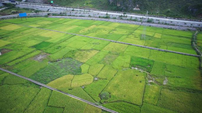 高速公路旁低空航拍水稻