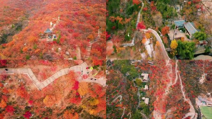 北京房山坡峰岭红叶秋景航拍