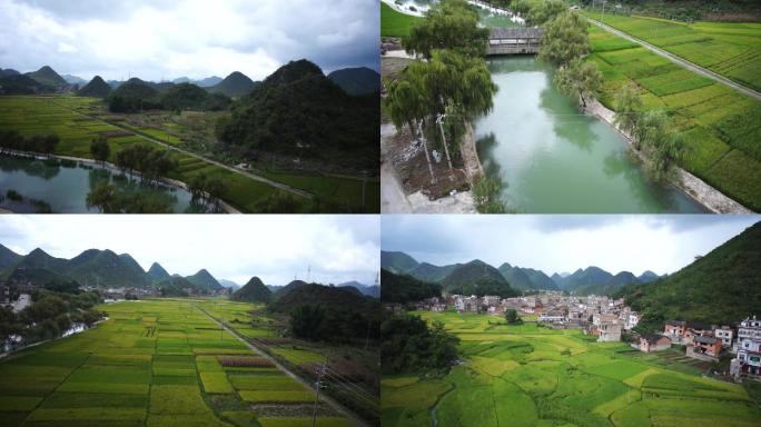 广南八宝绿油油的稻田河水风雨桥航拍