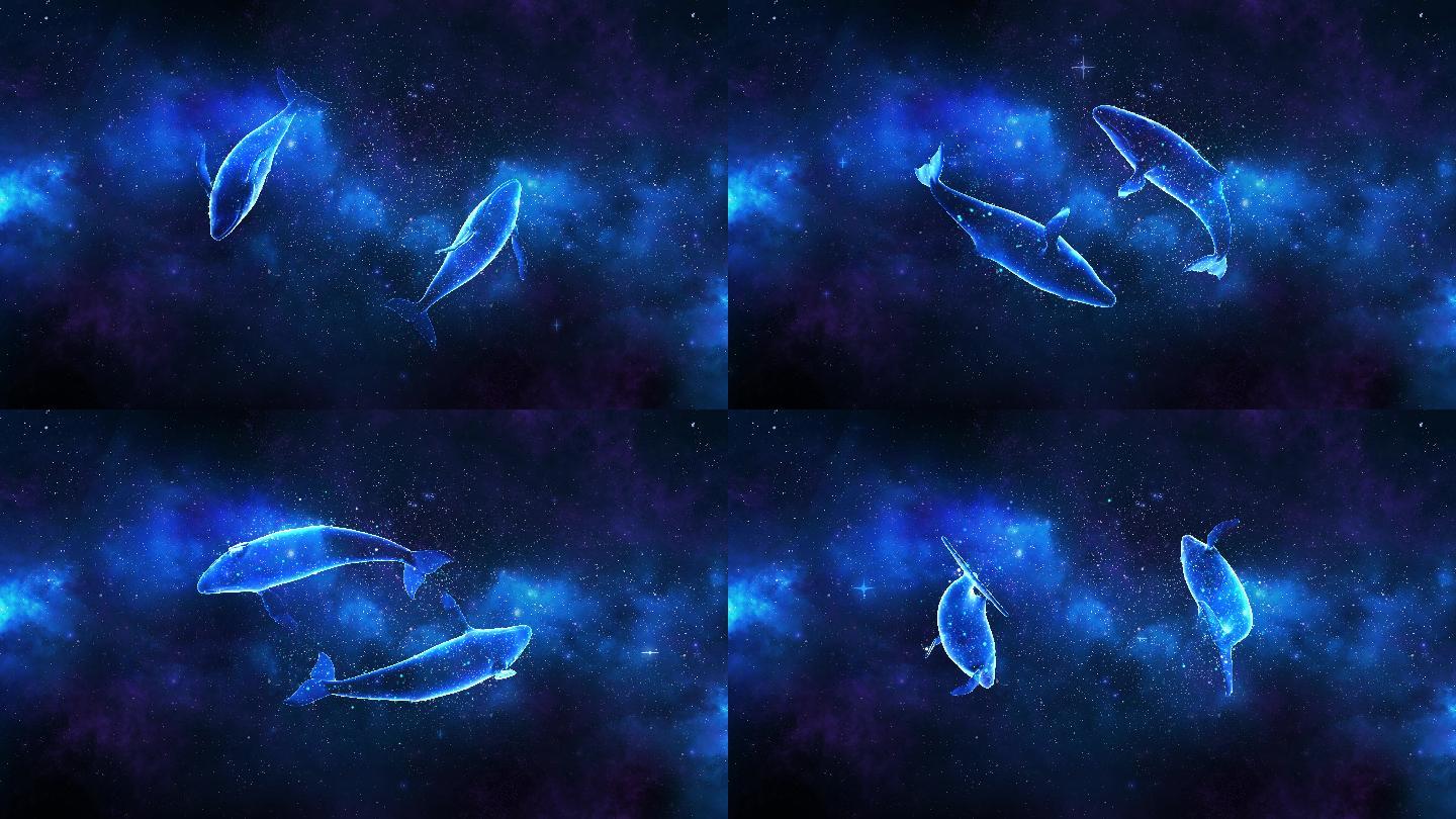 星空鲸鱼4k（02）-无缝循环