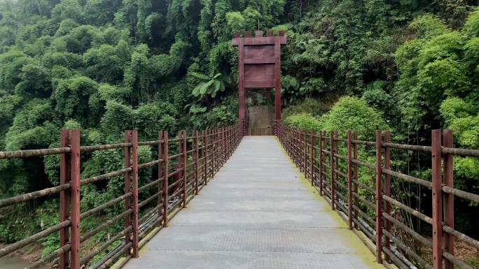马庙桫椤湖10吊桥（4K）