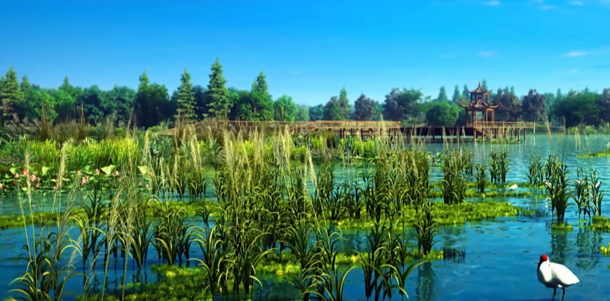 （宽屏完整版）三维湿地公园动画